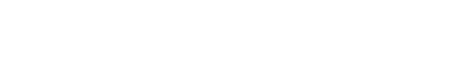 POLYFLEX SRL